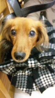 ���N�`��