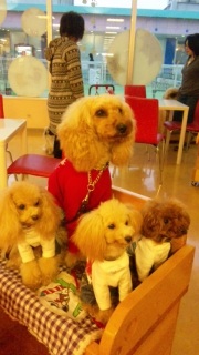 ������