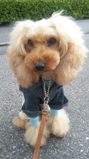 ���o����