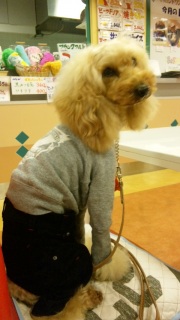 �҂����킹